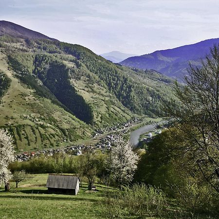 Dream Hostel Carpathians Rakhiv Exterior foto